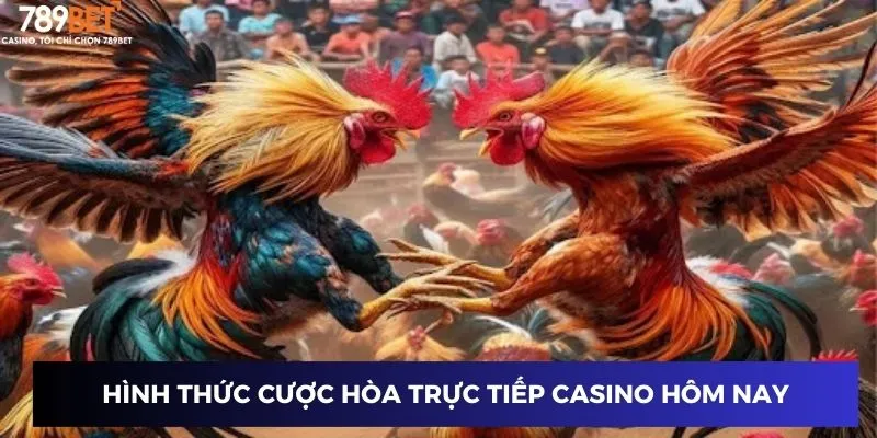 Hình thức cược hòa trực tiếp casino hôm nay