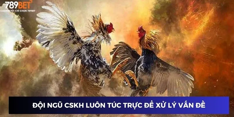 Đội ngũ CSKH luôn túc trực để xử lý vấn đề nhanh chóng