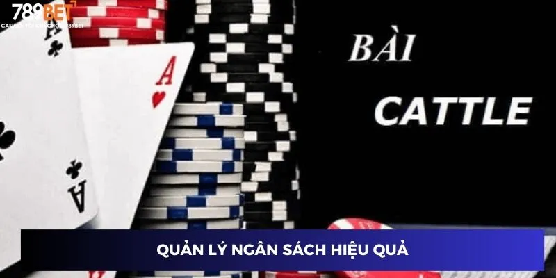 Quản lý ngân sách hiệu quả