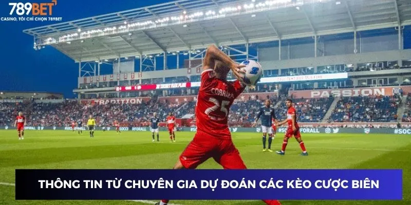 Thông tin từ chuyên gia dự đoán các kèo cược biên