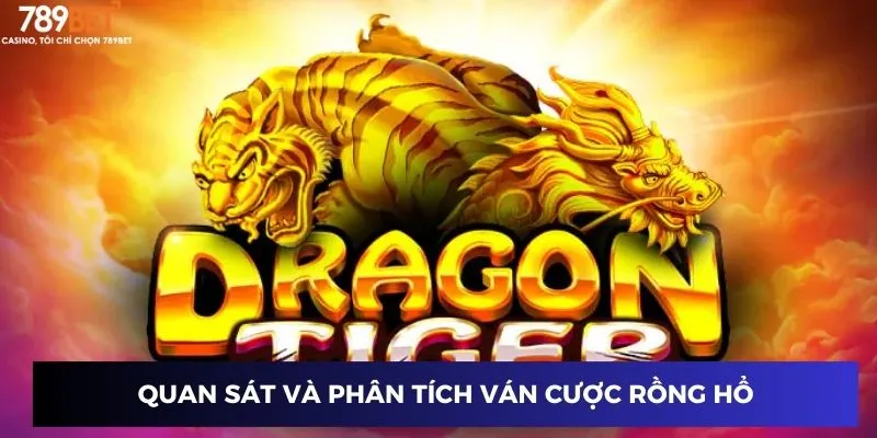 Quan sát và phân tích ván cược rồng hổ