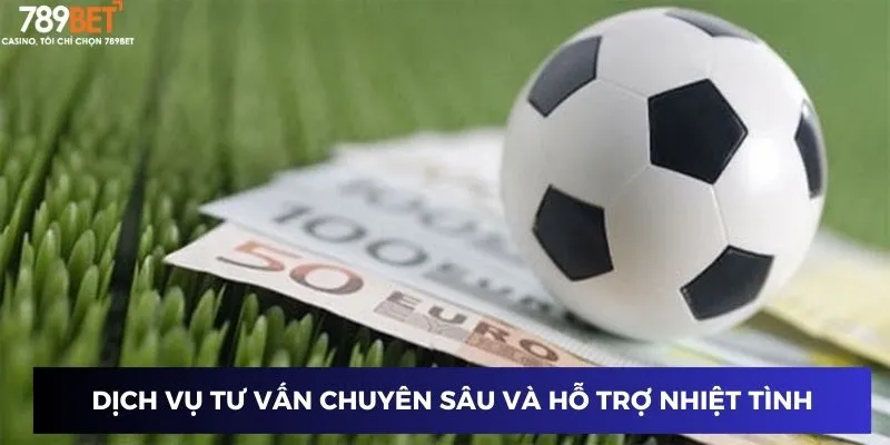 Dịch vụ tư vấn chuyên sâu và hỗ trợ nhiệt tình từ các chuyên gia