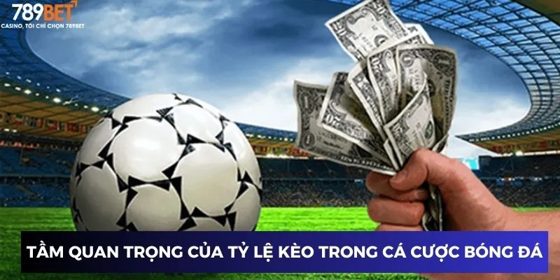 Tầm quan trọng của tỷ lệ kèo trong cá cược bóng đá