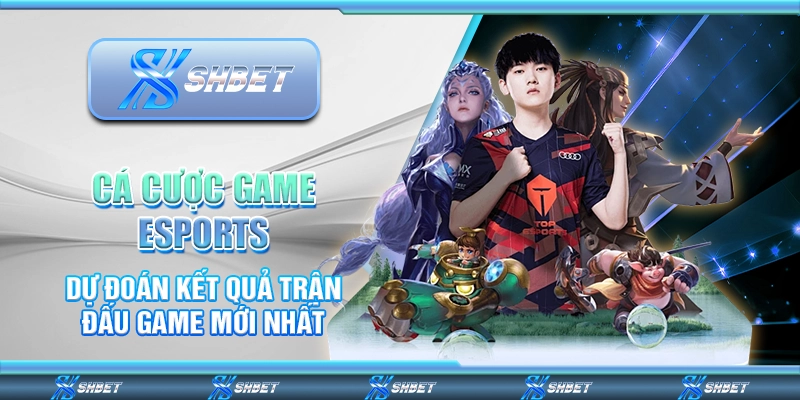 Cá Cược Game Esports - Dự Đoán Kết Quả Trận Đấu Game Mới Nhất