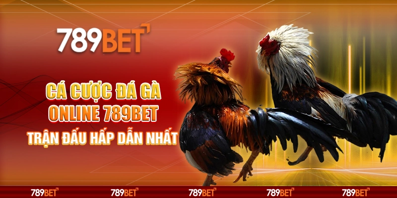 Cá Cược Đá Gà Online 789BET – Trận Đấu Hấp Dẫn Nhất