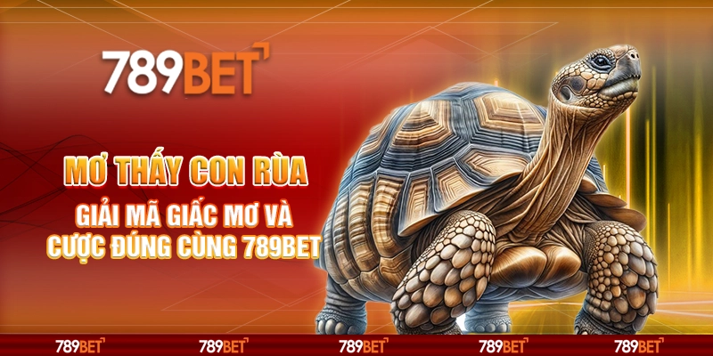 Mơ Thấy Con Rùa Giải Mã Giấc Mơ Và Cược Đúng Cùng 789BET