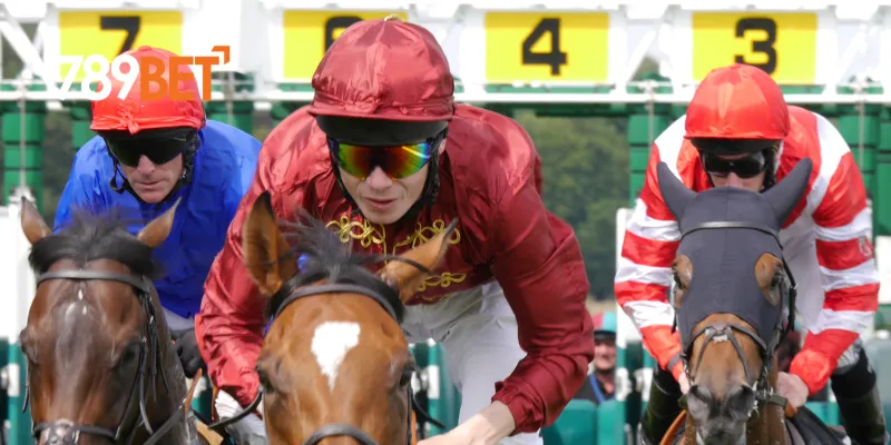 Các loại đặt cược game đua ngựa phổ biến