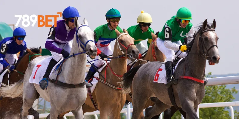 Cách đặt cược game đua ngựa trên 789BET