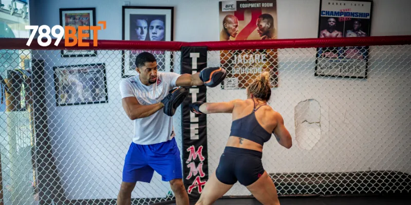 Cách tham gia cá cược theo lịch thi đấu UFC mới nhất