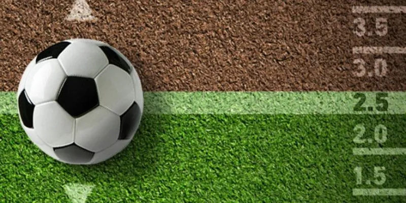 Tìm hiểu các chiến lược cược rung từ cao thủ