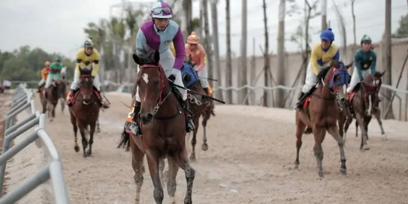 Hiểu rõ về cơ chế game đua ngựa đặt cược