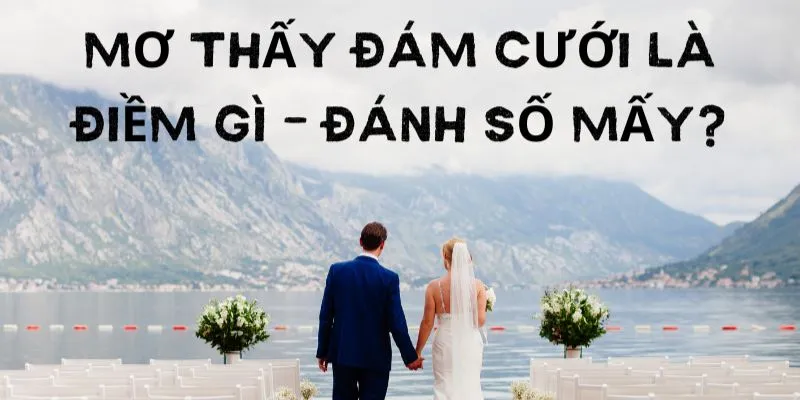 Khám phá các con số nên đánh khi mơ thấy đám cưới