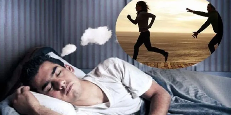 Ý nghĩa khi mơ bị động vật rượt đuổi
