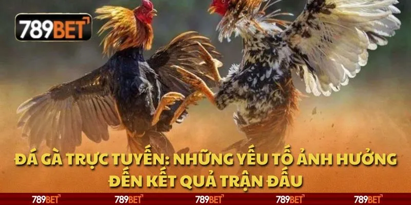 Đá gà trực tuyến: Những yếu tố ảnh hưởng đến kết quả trận đấu
