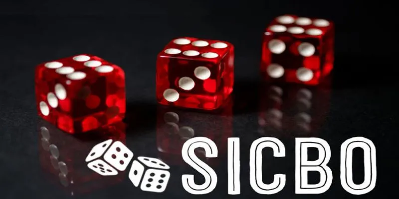 Mẹo chơi Sicbo: Phân tích xác suất ra số và cách tận dụng tối đa 4 Mẹo chơi sicbo một cách thông minh